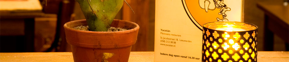 /wp-content/themes/yucatan/img/slide-informatie.jpg
